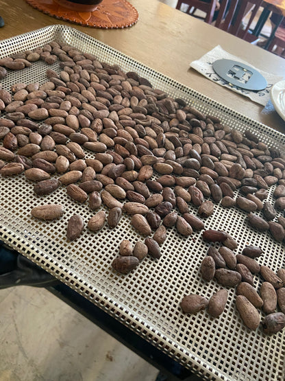 1lbs Organic Roasted Cacao Beans Single origins
